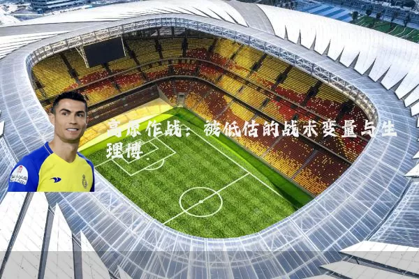 高原作战:被低估的战术变量与生理博弈