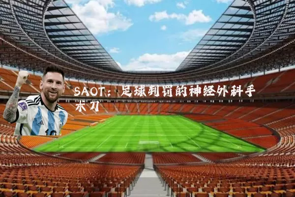 SAOT:足球判罚的神经外科手术刀